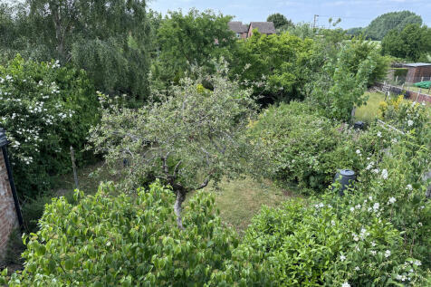 Garden 4.JPG