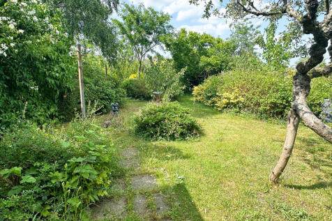 Garden 1_edited
