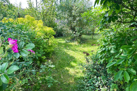 Garden 2_edited