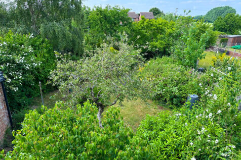 Garden 4_edited