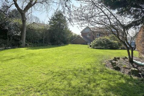 Property Image 33