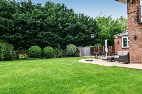 Rear Garden (!).JPG