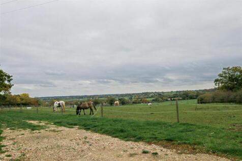Horses.JPG