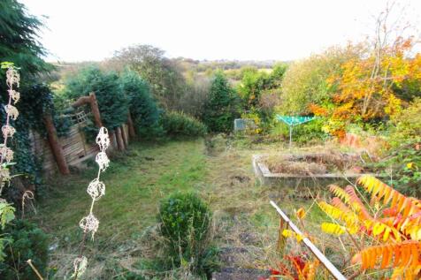 garden 2.JPG