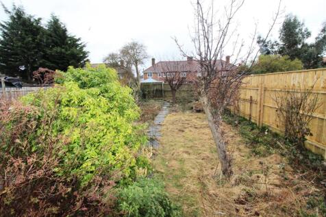 back garden.JPG