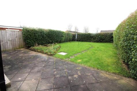 Garden.JPG