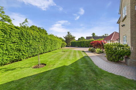 Property Image 41