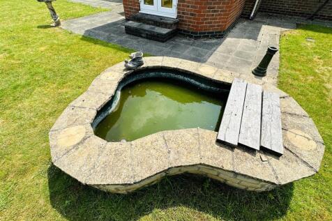 Pond