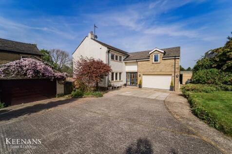 Property Image 48