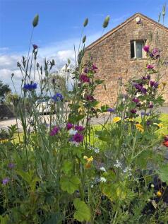 whinney lane 8.jpg