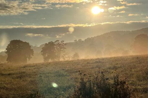 whinney lane 10.jpg
