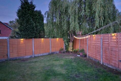 Rear Garden, Evening