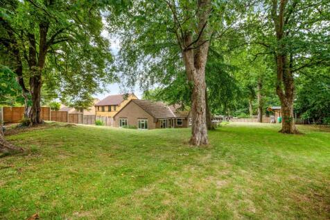 Property Image 15