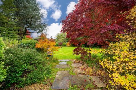 Property Image 42