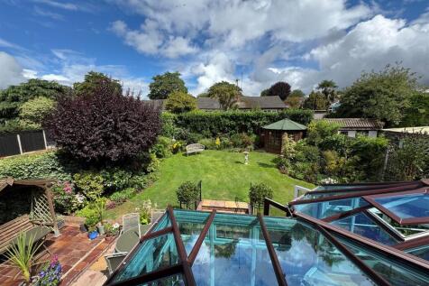 Roof Top View