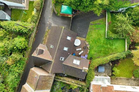 DJI_0137.jpg