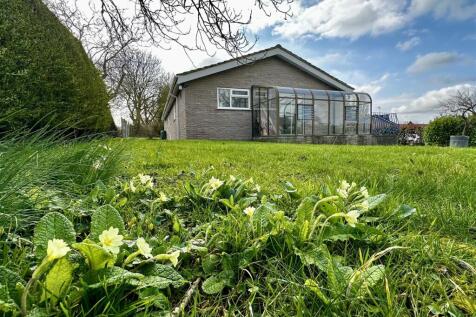 Side and Front Garden