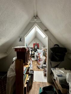 IMG_E9876.JPG