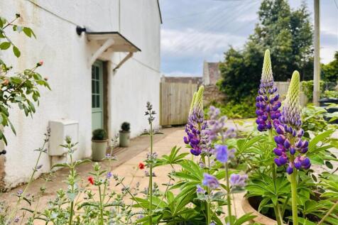 Property Image 42
