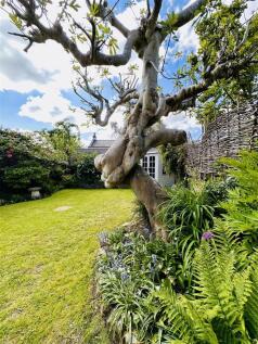 Property Image 44