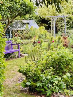 Property Image 52