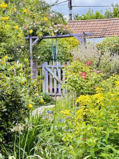 Property Image 54