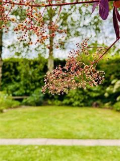 Property Image 55