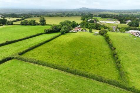 DJI_0584.jpg