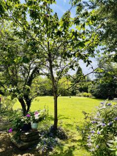 Property Image 63