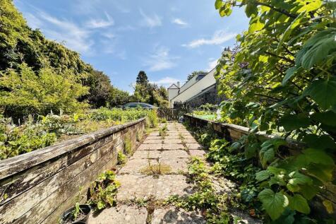 Vegetable Garden