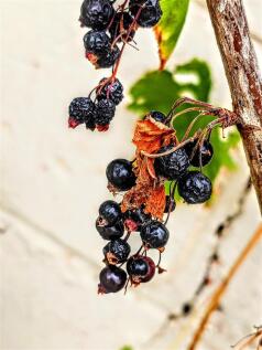 20250811_125557~2.jpg