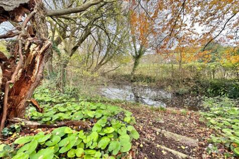 Natural Pond