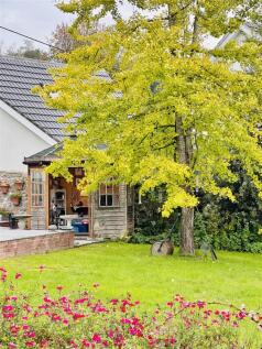 Property Image 41