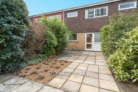 Rear patio garden.