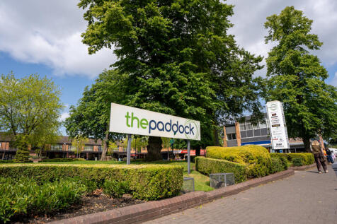 The Paddock