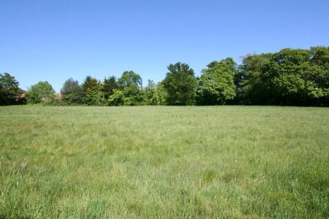 Field to rear