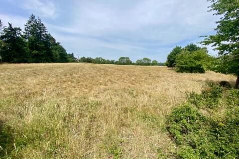 Meadow