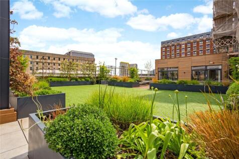 Communal Roof Garden