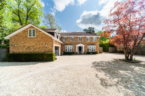 Property Image 41