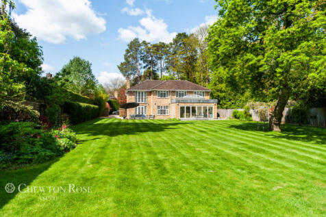 Property Image 43