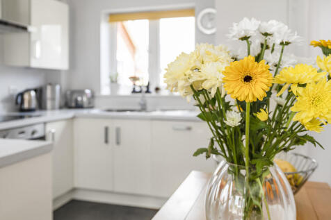 Kitchen lifestyle