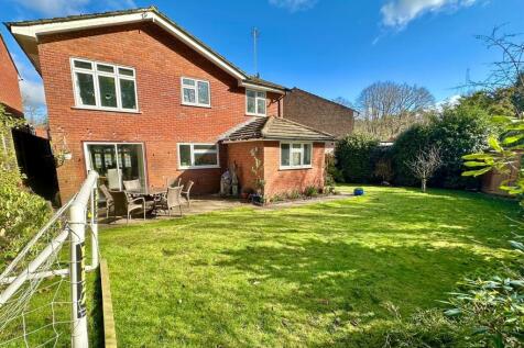 Property Image 14