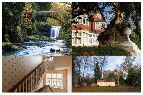 Updated Boards (NEW) 3-12.jpg