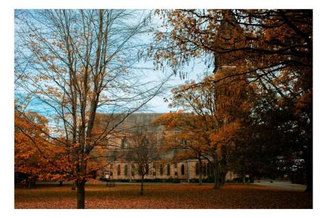 Updated Boards (NEW) 3-14.jpg