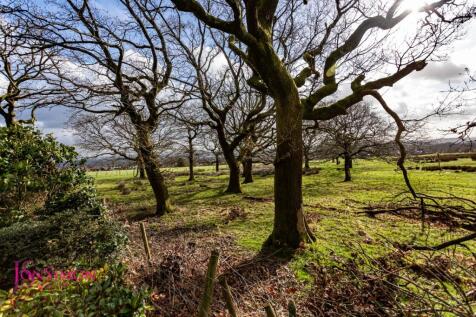 Property Image 83