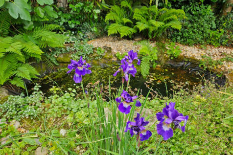 Property Image 23