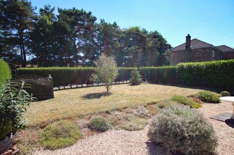Front garden photo 2