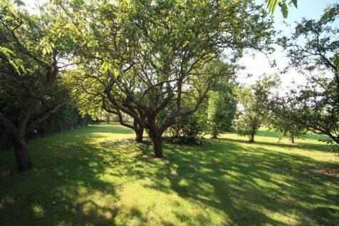 Garden View 3