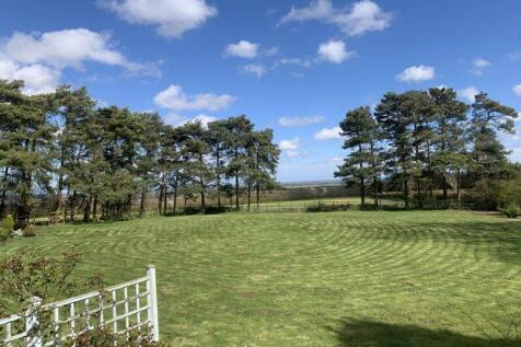 gardens and view