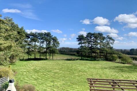 Garden view 2